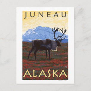 Cariou Scene - Juneau, Alaska Briefkaart