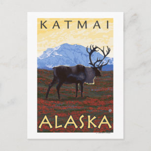 Cariou Scene - Katmai, Alaska Briefkaart