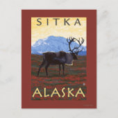 Cariou Scene - Sitka, Alaska Briefkaart (Voorkant)