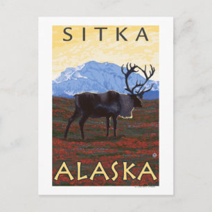 Cariou Scene - Sitka, Alaska Briefkaart