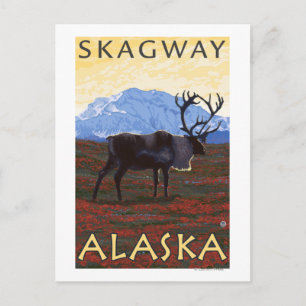 Cariou Scene - Skagway, Alaska Briefkaart