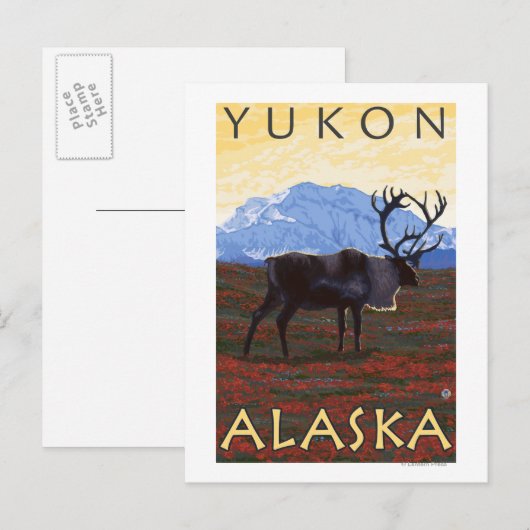 Cariou Scene - Yukon, Alaska Briefkaart (Voorkant / Achterkant)
