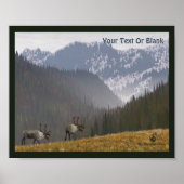 Cariou Twee Poster (Voorkant)