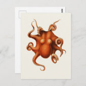 Carl Chun Octopus Illustratie Marine Briefkaart (Voorkant / Achterkant)