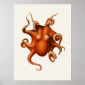 Carl Chun Octopus Illustratie Marine Poster (Voorkant)