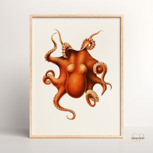 Carl Chun Octopus Illustratie Marine Poster