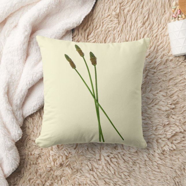 Carl Doddy Kussen (Deken)