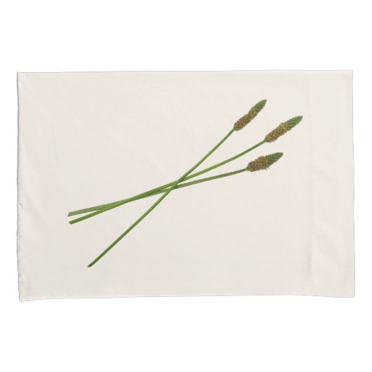 Carl Doddy Kussensloop (Voorkant-Rechts)