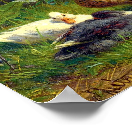 Carl Jutz Ducks Poster (Hoek)