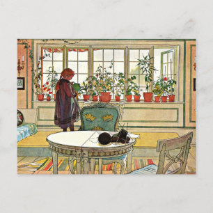 Carl Larsson - Bloemen op de vensterbank Briefkaart