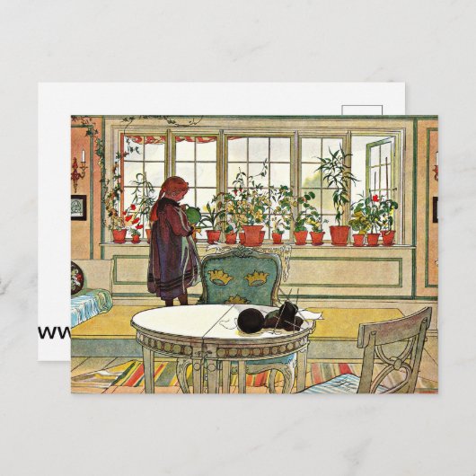 Carl Larsson - Bloemen op de vensterbank Briefkaart (Voorkant / Achterkant)