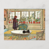 Carl Larsson - Bloemen op de vensterbank Briefkaart (Voorkant)
