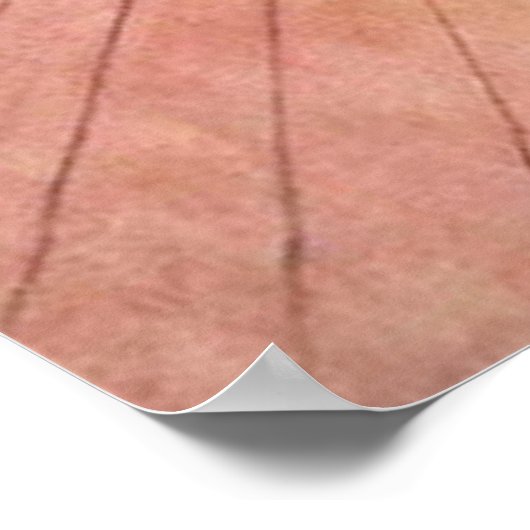 Carl Larsson Karin Peeling Rhubarb Fine Art Poster (Hoek)