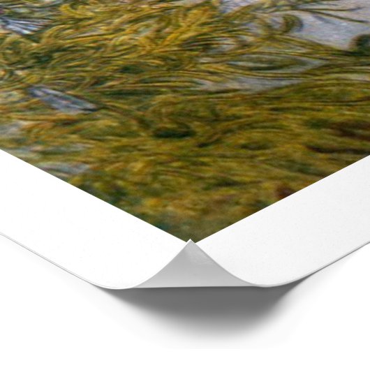 Carl Larsson Poster Fine Art Print (Hoek)