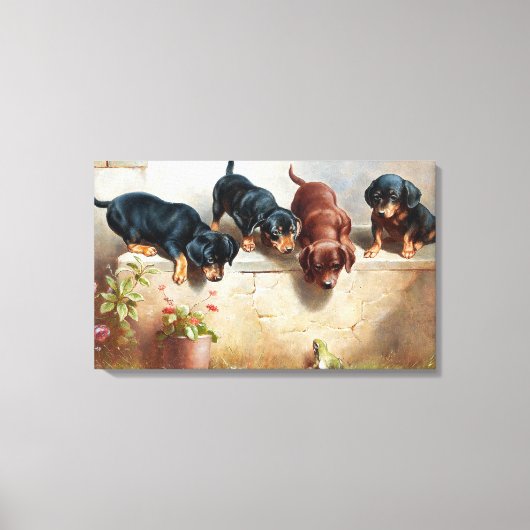 Carl Reichert Curious Dachshund Puppies en een kik Canvas Afdruk (Voorkant)