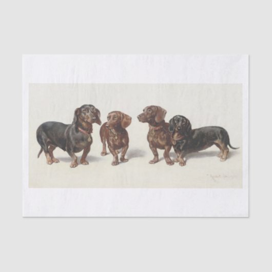 Carl Richert | Dachshund Dogs Oil Painting Tissuepapier (Voorkant)