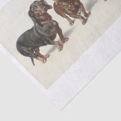 Carl Richert | Dachshund Dogs Oil Painting Tissuepapier (Detail)