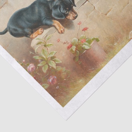 Carl Richert | Dachshund-Puppies en kikkers Tissuepapier (Detail)