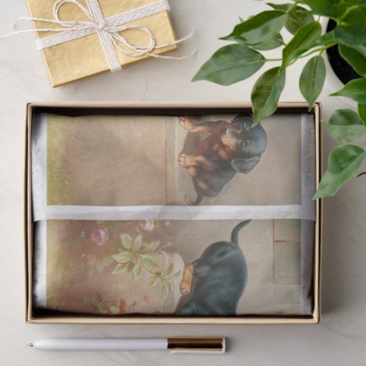 Carl Richert | Dachshund-Puppies en kikkers Tissuepapier (Geschenk)