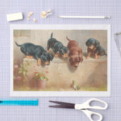Carl Richert | Dachshund-Puppies en kikkers Tissuepapier (Craft)
