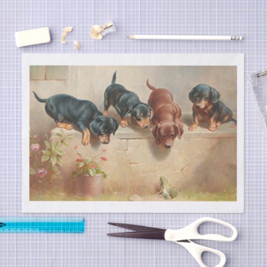 Carl Richert | Dachshund-Puppies en kikkers Tissuepapier (Craft)