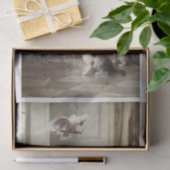 Carl Richert | Katten Kittens Parrot Bird Tissuepapier (Geschenk)