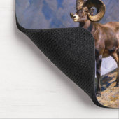 Carl Rungius Big Horn Sheep op Wilcox Pass Muismat (Hoek)