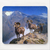 Carl Rungius Big Horn Sheep op Wilcox Pass Muismat (Voorkant)
