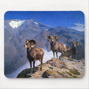 Carl Rungius Big Horn Sheep op Wilcox Pass Muismat
