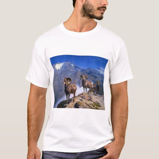 Carl Rungius Big Horn Sheep op Wilcox Pass T-shirt (Voorkant)