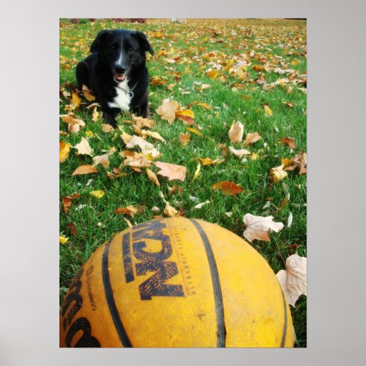 Carlee Poster (Voorkant)