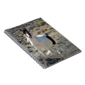 Carlito's van Sand Wash Basin Notitieboek (Rechterzijde)