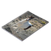 Carlito's van Sand Wash Basin Notitieboek (Linkerzijde)