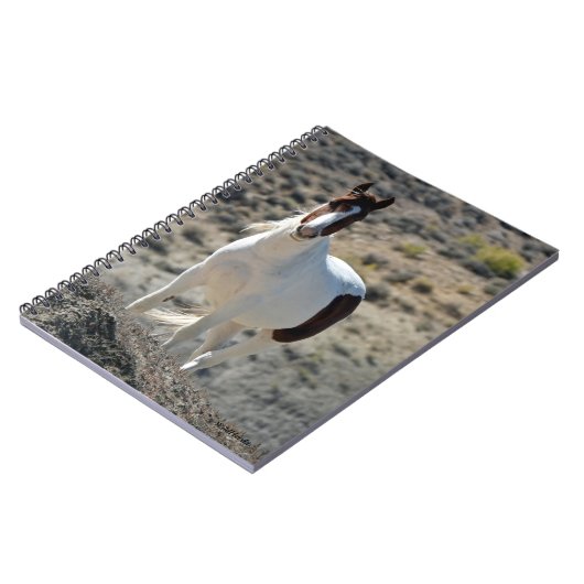 Carlito's van Sand Wash Basin Notitieboek (Linkerzijde)