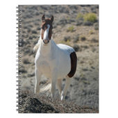 Carlito's van Sand Wash Basin Notitieboek (Voorkant)