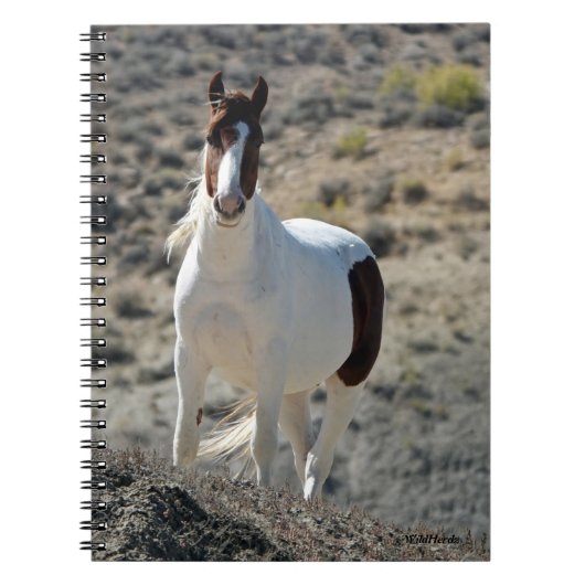 Carlito's van Sand Wash Basin Notitieboek (Voorkant)