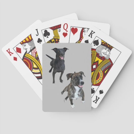 Carlos honden pokerkaarten (Achterkant)
