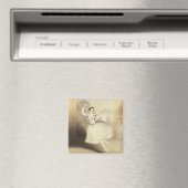 Carlotta Grisi (1819-1999) in de ballet van de Per Magneet (Insitu (Vaatwasser))