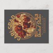 CARLSBAD CALIFORNIA - CARLSBAD FLOWER FIELDS BRIEFKAART (Voorkant)