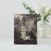 Carlsbad Cavern Cave New Mexico Briefkaart (Staand voorkant)