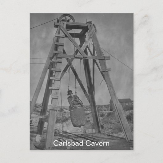 Carlsbad Cavern Fun Fact Briefkaart (Voorkant)