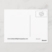 Carlsbad Caverns Briefkaart (Achterkant)