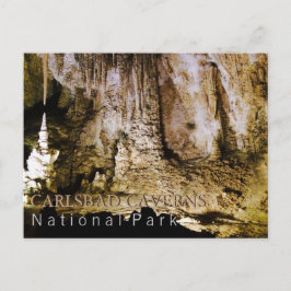 Carlsbad Caverns Briefkaart