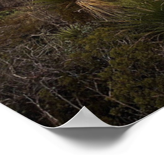 Carlsbad Caverns Desert Poster (Hoek)