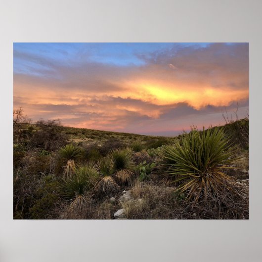 Carlsbad Caverns Desert Poster (Voorkant)