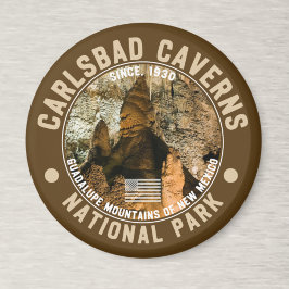 Carlsbad Caverns in New Mexico Magneet