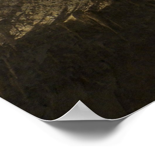 Carlsbad Caverns Kroonluchter Poster (Hoek)