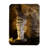 Carlsbad Caverns Magneet (Verticaal)