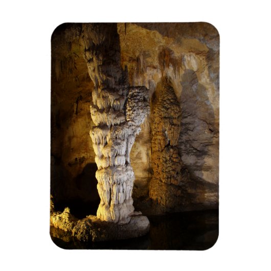 Carlsbad Caverns Magneet (Verticaal)