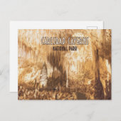 Carlsbad Caverns Nationaal Park New Mexico Briefkaart
